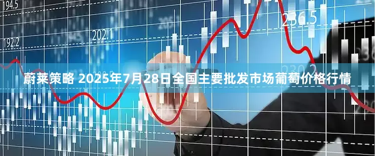 蔚莱策略 2025年7月28日全国主要批发市场葡萄价格行情