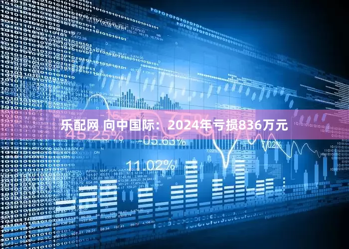 乐配网 向中国际：2024年亏损836万元