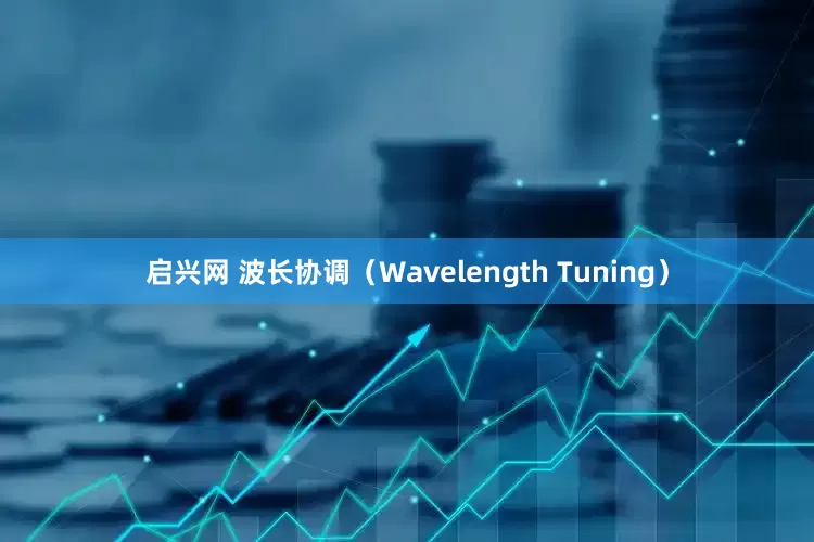 启兴网 波长协调（Wavelength Tuning）